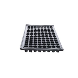 Alveole 104 celule